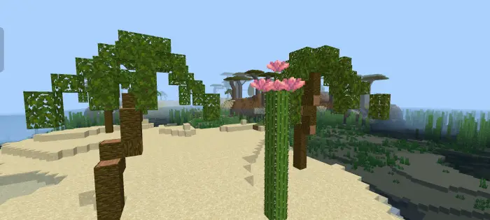Curved trees and flowering cactus on sandy biome
