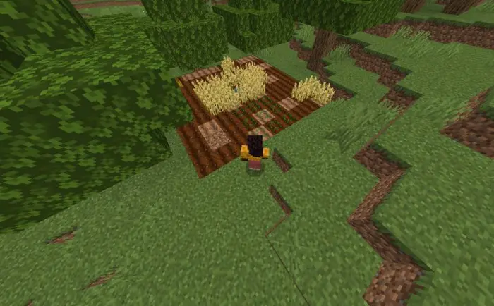 Player sneaking beside growing crops.
