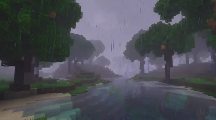 Moody forest with rain and misty river