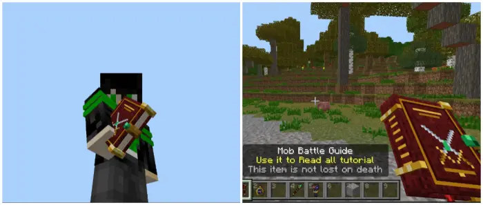 1. Player holding a magic battle guide book 2. Guide book with tutorial text onscreen