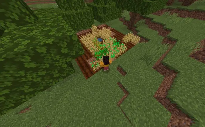 Player sneaking near growing crops