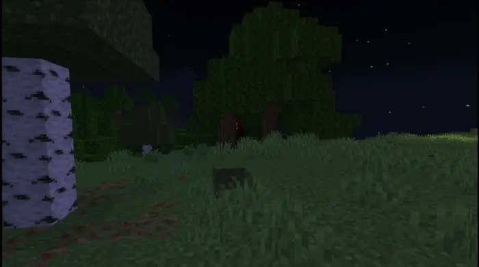 Dark grassy forest with a glowing-eyed mob