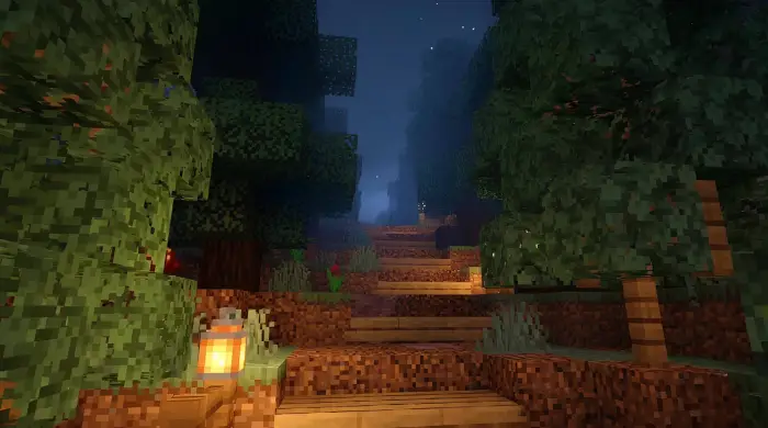 Lantern-lit forest path at night