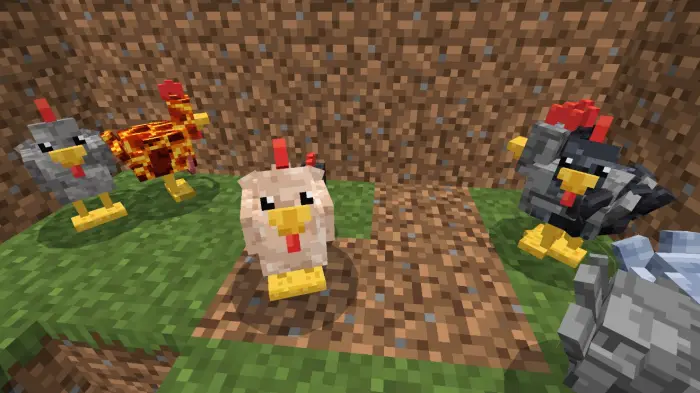 Colorful resource chickens in a dirt pen