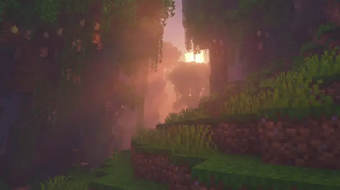 Moody forest scene with soft sun rays