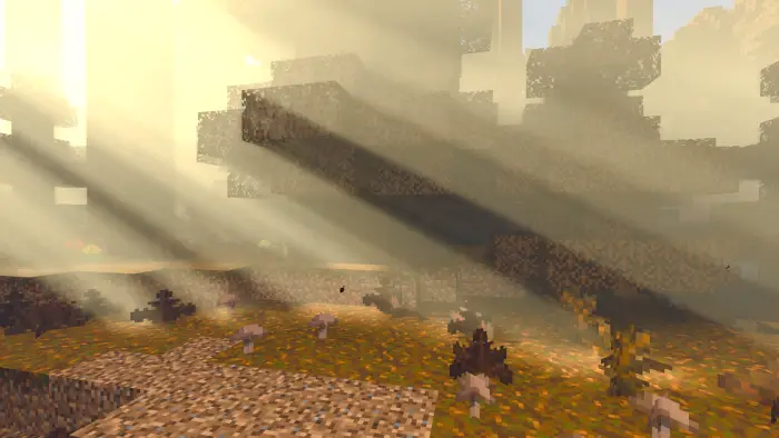 Sunbeams filter through dense smog in forest