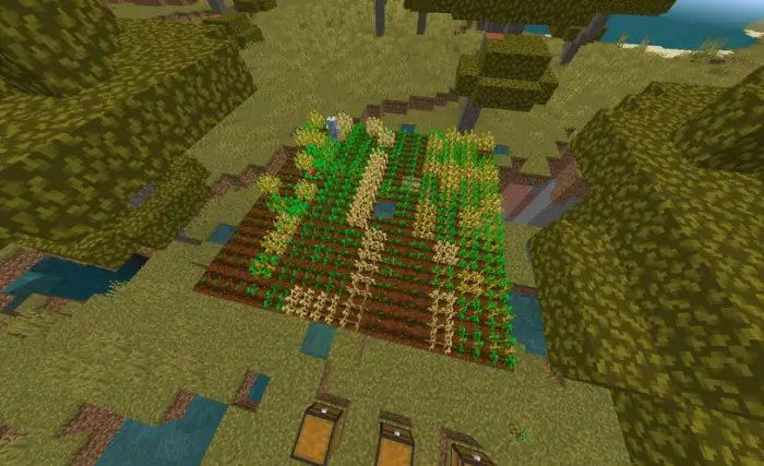 Robot tending crops in a blocky farm field