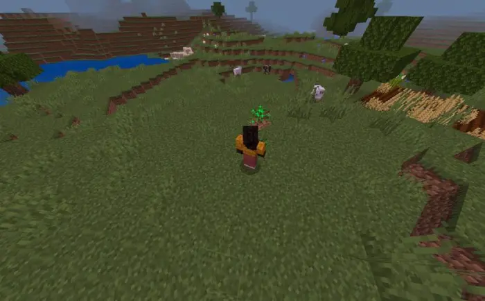 Player sneaking near a growing sapling