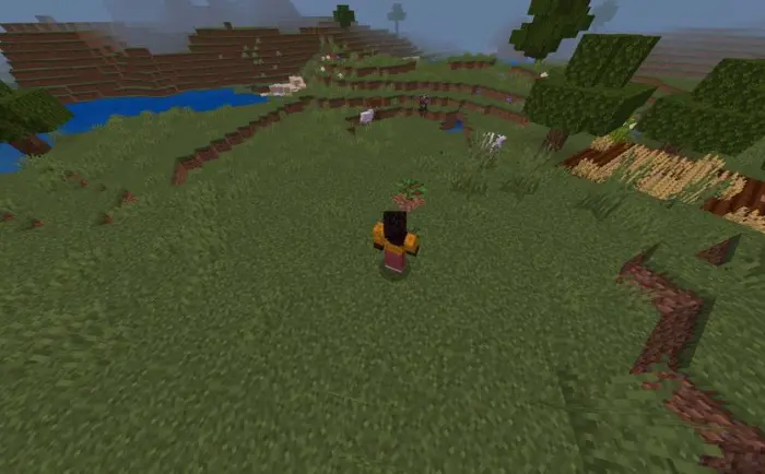 Player sneaking near a sapling to grow it