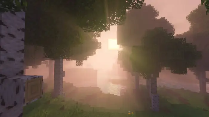 Sunset haze through blocky forest trees