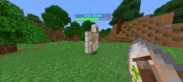 Iron Golem with visible health bar above
