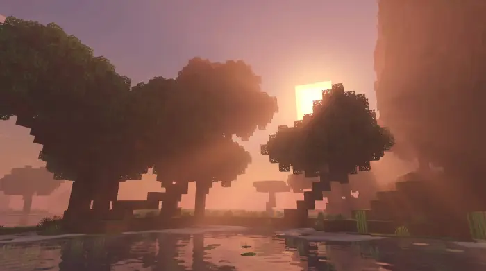 Soft sunset rays through blocky trees
