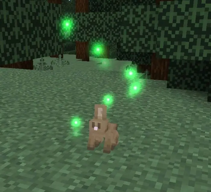 Small rabbit with glowing green aura orbs