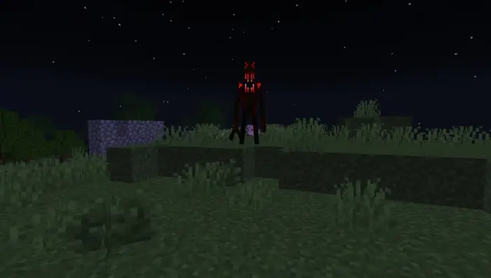 Red-eyed hatchling mob at night outdoors