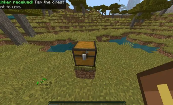 Chest placed on grass in a blocky farm field