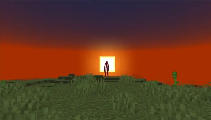 Tall flesh mimic silhouetted at sunset