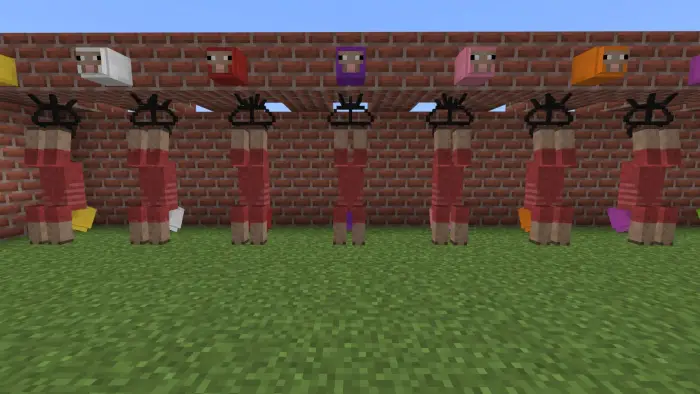 Sheep carcasses hanging below colored heads