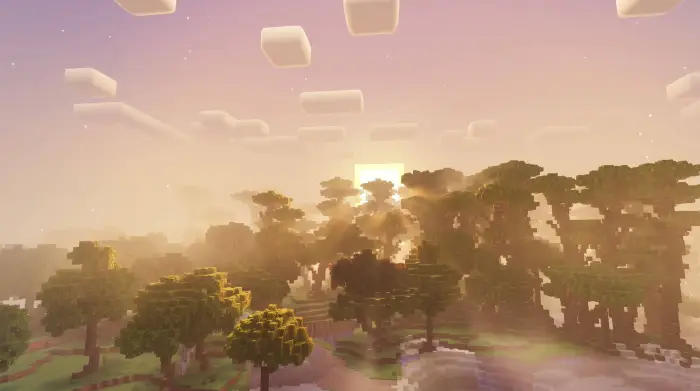 Golden haze over blocky forest at sunset