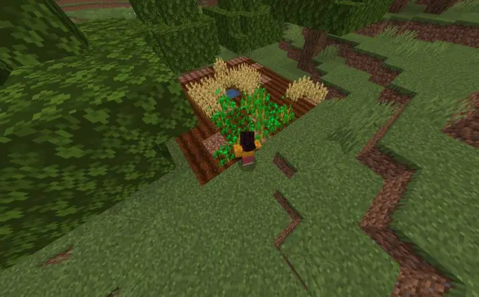 Player sneaking beside a small crop farm