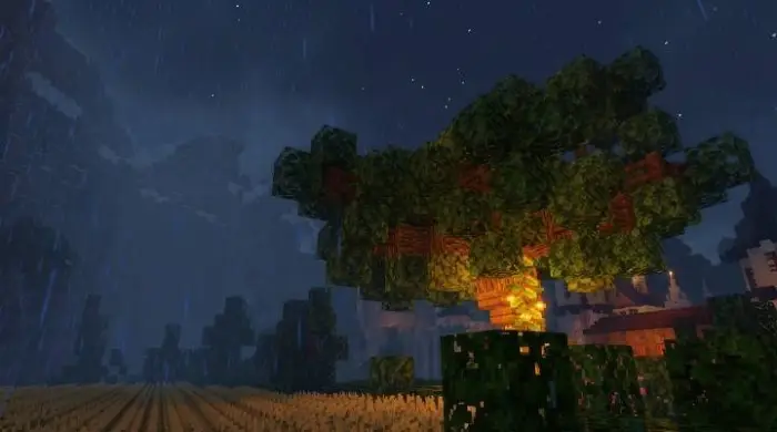 Tree glowing at night during rainfall