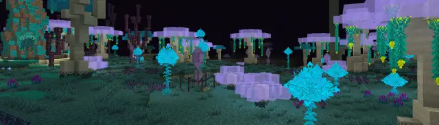 Head for profile page.