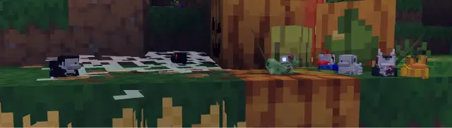 Head for profile page.