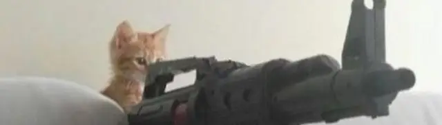 Head for profile page.